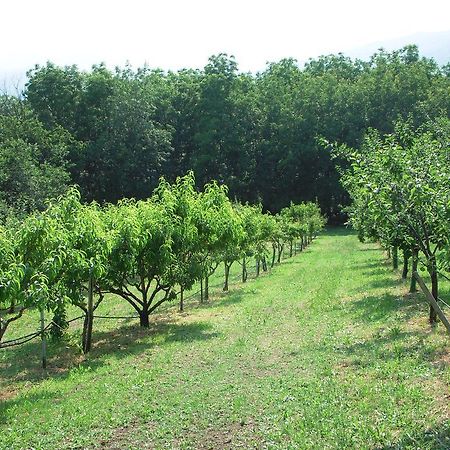 Santa Brigida Bed and Breakfast Pinerolo Esterno foto