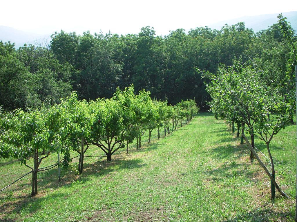 Santa Brigida Bed and Breakfast Pinerolo Esterno foto